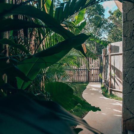 Jungle Rooftop Round Villa -Priv Pool-Bathtub 2A トゥルム エクステリア 写真
