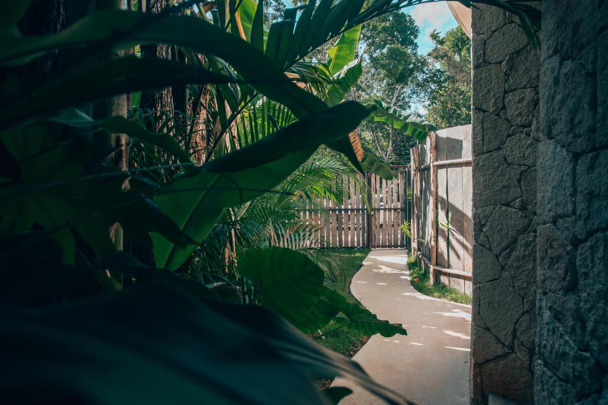 Jungle Rooftop Round Villa -Priv Pool-Bathtub 2A トゥルム エクステリア 写真