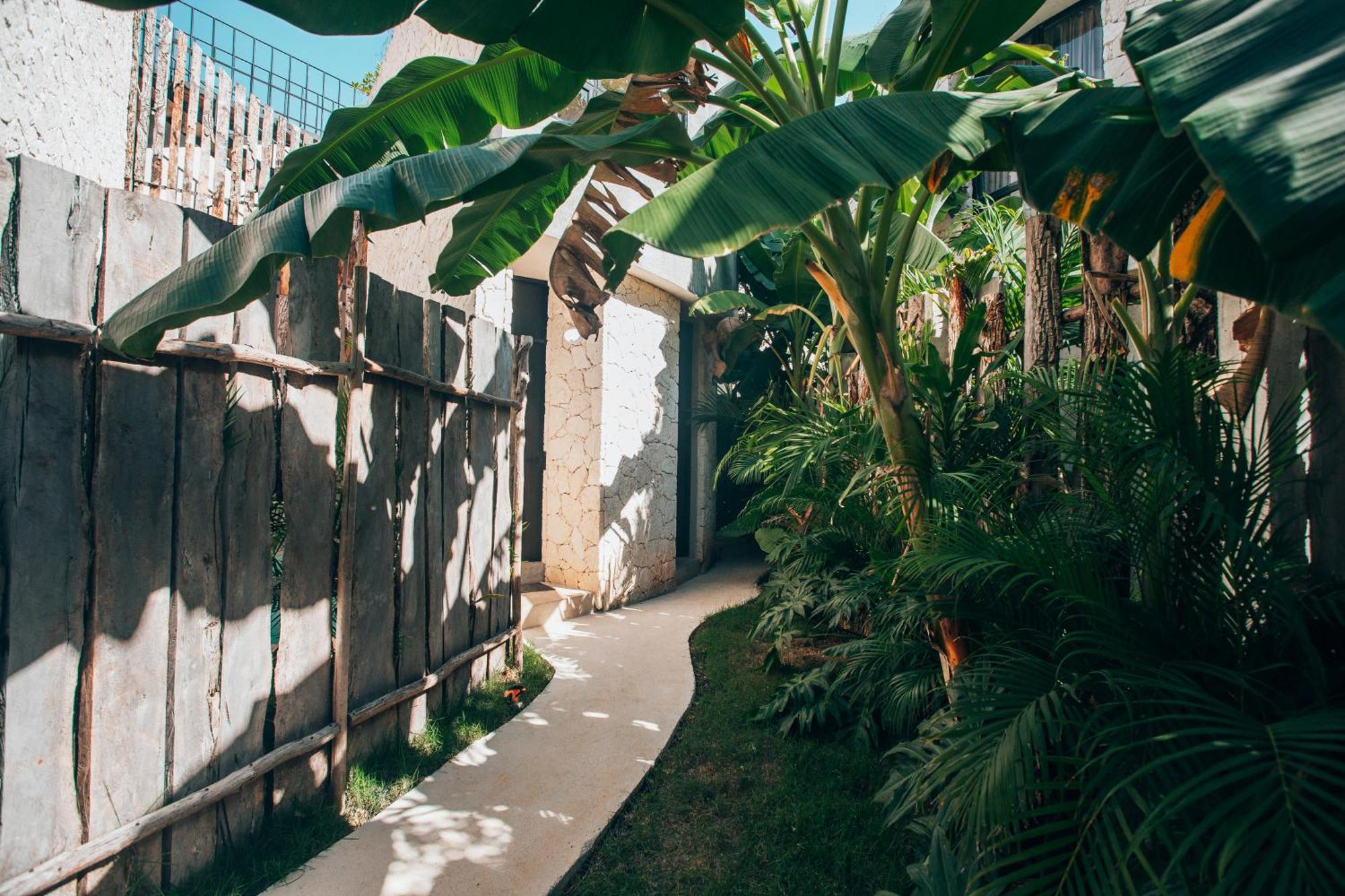 Jungle Rooftop Round Villa -Priv Pool-Bathtub 2A トゥルム エクステリア 写真